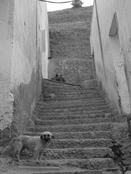 dans les rues de tafadna